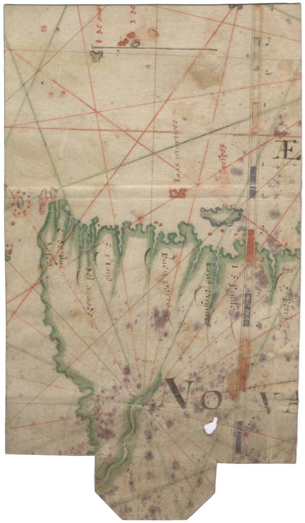 Dutch fragment of a vellum portolan sea chart of New Guinea and the South Land, by Cornelis Doedsz of the North Holland School of Cartography