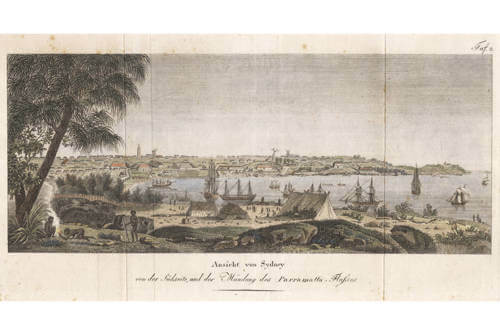 Antique map of Sydney by Lesueur (after)