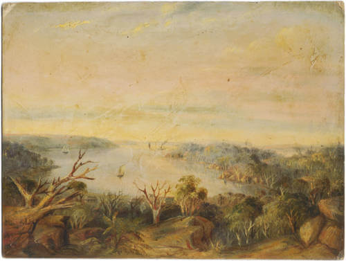 Antique map of Double Bay Sydney by George Peacock